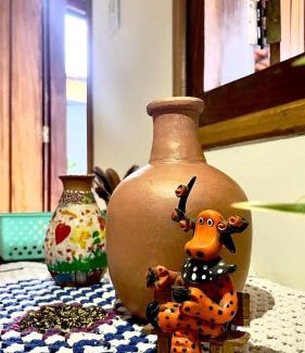 Davidopolis House | Casa da Mangueira casa completa no centro histórico de Goiás