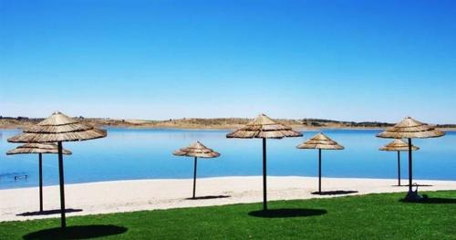 Reguengos de Monsaraz House | Casa da Oliveira