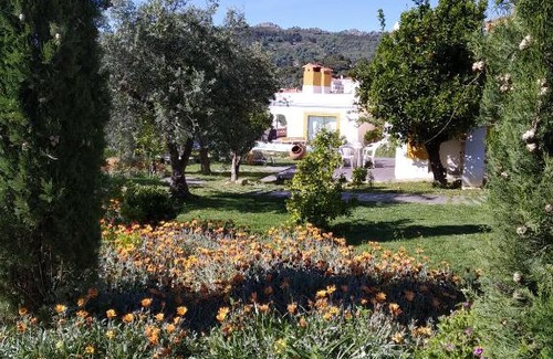 Reveladas House | Casa da Paleta