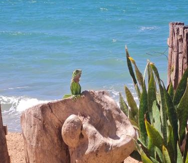 Icapui House | Casa da Peroba Sol - Pé na Areia - Praia da Peroba - Icapuí