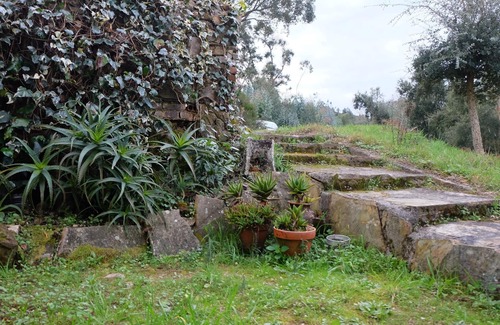 Serra Cottage | Casa da Ruiva - To relax and enjoy nature