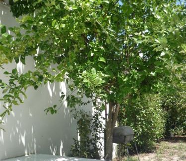 Gois House | Casa da Terra