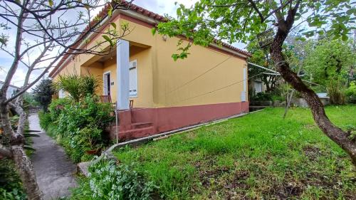 Coimbra Bed & Breakfast | Casa da Tia Lena
