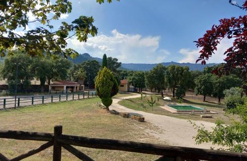 Fundao House | Casa da Vinha