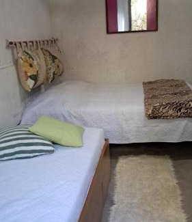 Eldorado House | Casa Darwin