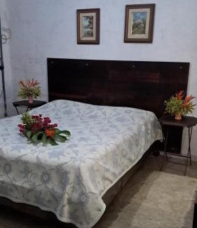 Eldorado House | Casa Darwin