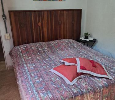 Eldorado House | Casa Darwin