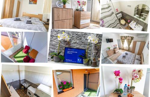 Sector 5 House | Casa DARYA-24h Check-in