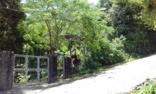 Praia da Enseada Apartment | Casa das Árvores