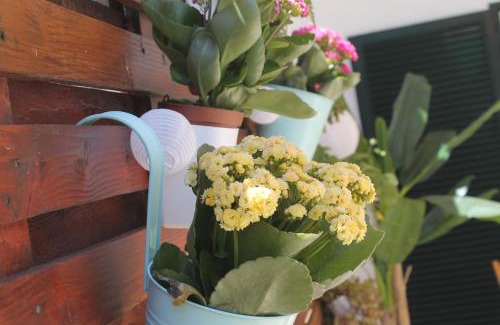 Aveiro House | Casa das Camélias