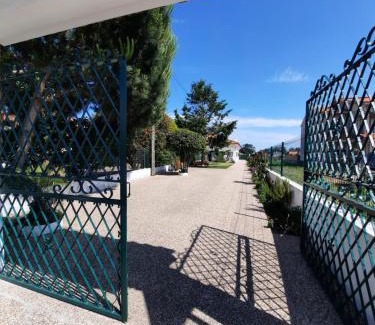 Aveiro House | Casa das Camélias