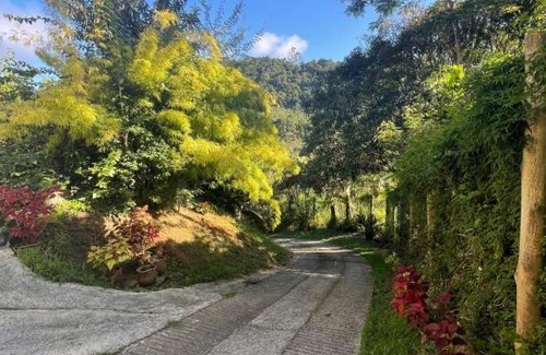 Lumiar House | Casa das Flores - Lumiar