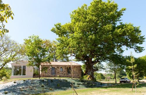 Chantada House | Casa das Landras