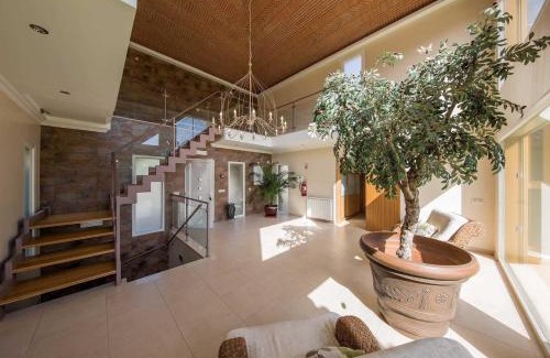 Caldas de Monchique Villa | Casa das Oliveiras - OLIVE TREE