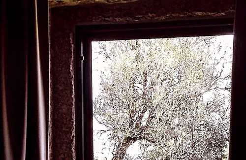 Povoa de Lanhoso Cottage | Casa das Oliveiras