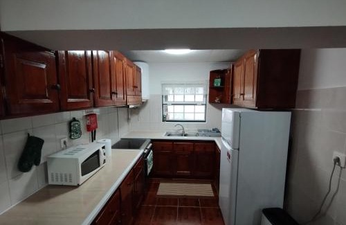 Lomba Apartment | Casa das Palmeiras
