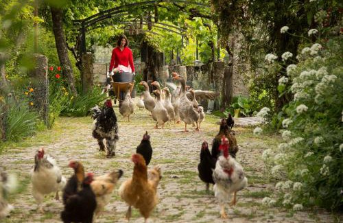 Mangualde House | Casa Das Palmeiras-Pedagogic Farm
