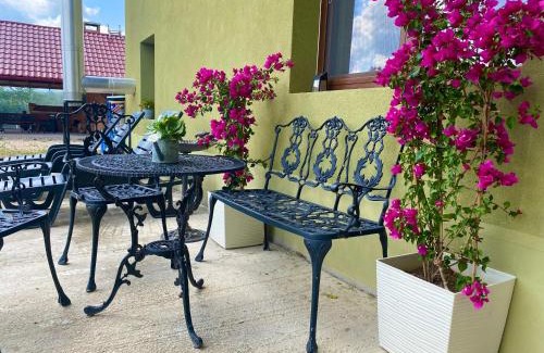 Curatele House | Casa David 13D