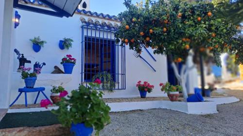 Cabra House | Casa de Ángel Balconcillo a La Subbética