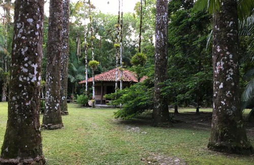 Camburi House | Casa de Cambury