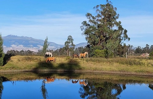 Cayambe House | Casa de campo al lado del lago de nuestra finca organica