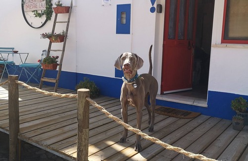 Terena Cottage | Casa de Campo, Perto de Praia Fluvial