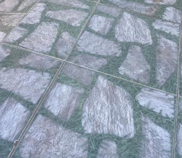 Tangua House | Casa de festas e cia