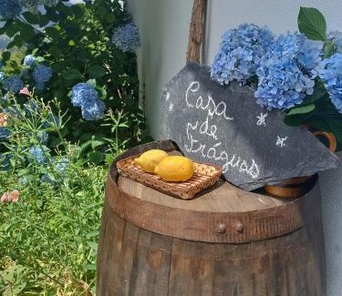 Arouca House | Casa de Fráguas