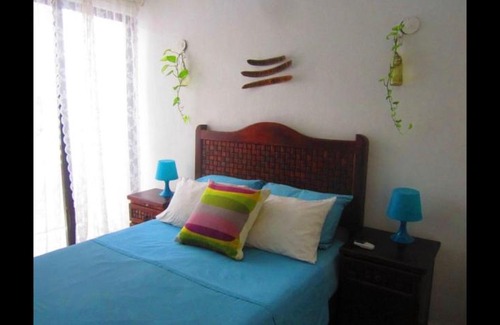 Centro Apartment | Casa de Hojas