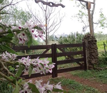 El Soberbio House | Casa de la Guayubira