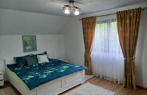 Tiha Bargaului House | Casa de la Moară