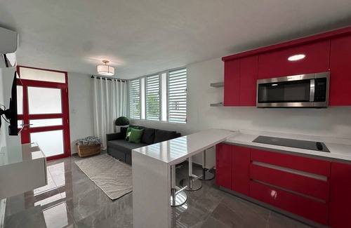 Ocean Park Apartment | Casa de Las Flores: Stylish 3-Bedroom Apartment with Artistic Flair in San Juan