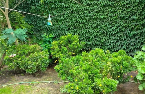 Santa Clara del Mar Ski Chalet | CASA DE MAR nun refugio único y cálido que promete ser más que un lugar estancia