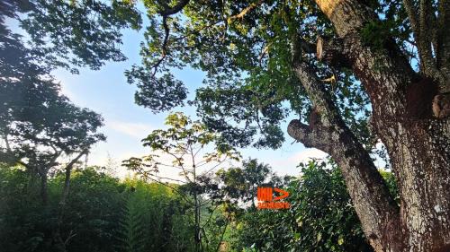 Bezerros House | Casa de Meg Charme e Natureza na Serra Negra