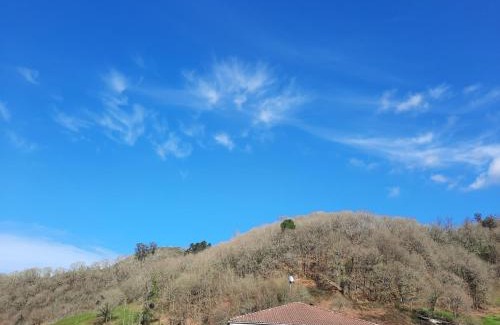 Cangas de Onis Apartment | Casa de Mila