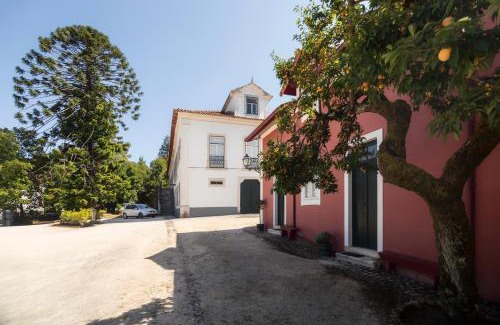 Anadia Bed & Breakfast | Casa de Mogofores