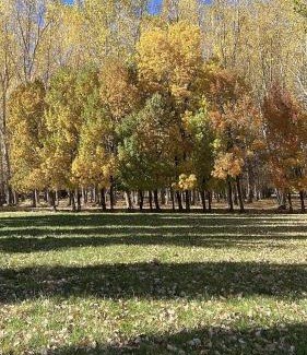 Uspallata Ski Chalet | Casa de Montaña Uspallata, Mendoza