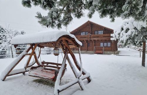 Vatra Dornei House | Casa de Munte