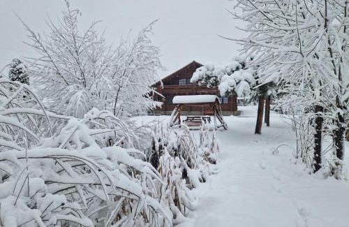 Vatra Dornei House | Casa de Munte