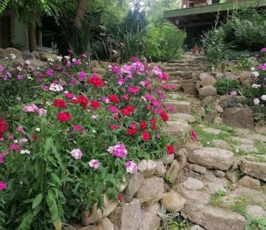 Merei Apartment | Casa de oaspeti adorabila aproape de natura