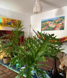 Olinda Historical Center House | Casa de Olinda
