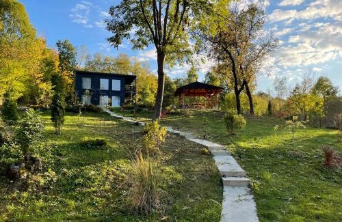 Provita de Sus House | Casa de pe un Deal-Provita de Sus-Prahova