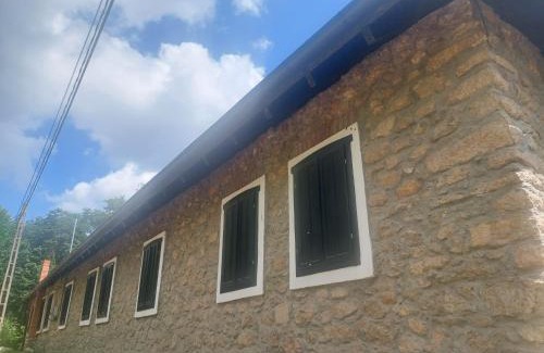 Ciclova Romana House | Casa de Piatra
