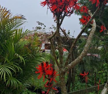 Balneario Arroio do Silva House | Casa de praia para veraneio