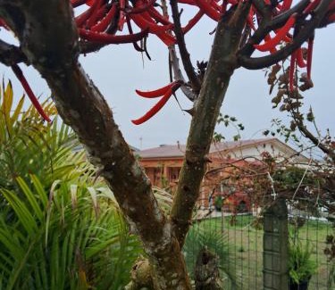 Balneario Arroio do Silva House | Casa de praia para veraneio