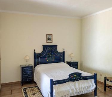Vila de Frades House | Casa de São Cucufate - Casa de Campo