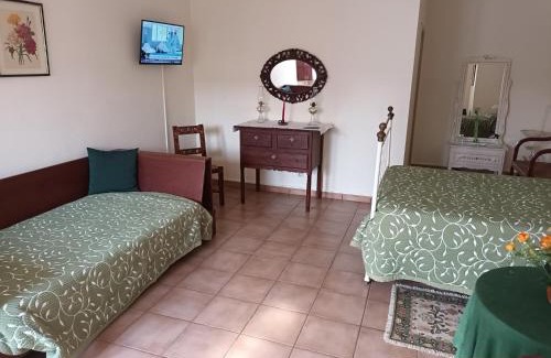 Vila de Frades House | Casa de São Cucufate - Casa de Campo