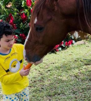 Northeast Region House | Casa de Serra Guaramiranga