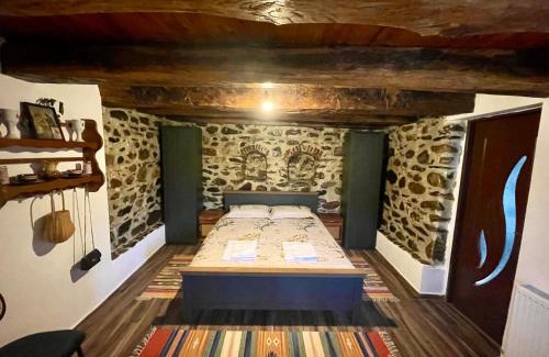 Curtea De Arges House | Casa de sub Salcie