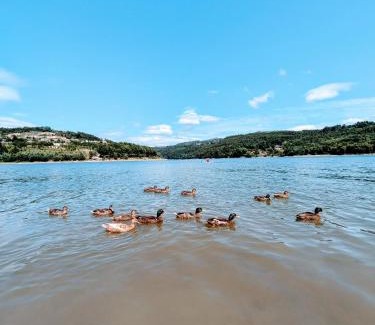 Penafiel House | Casa de Travassos